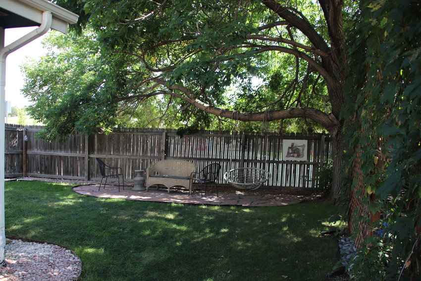 The backyard of Christopher Stimpson, who chose to keep a small portion of grass during his xeriscaping efforts.